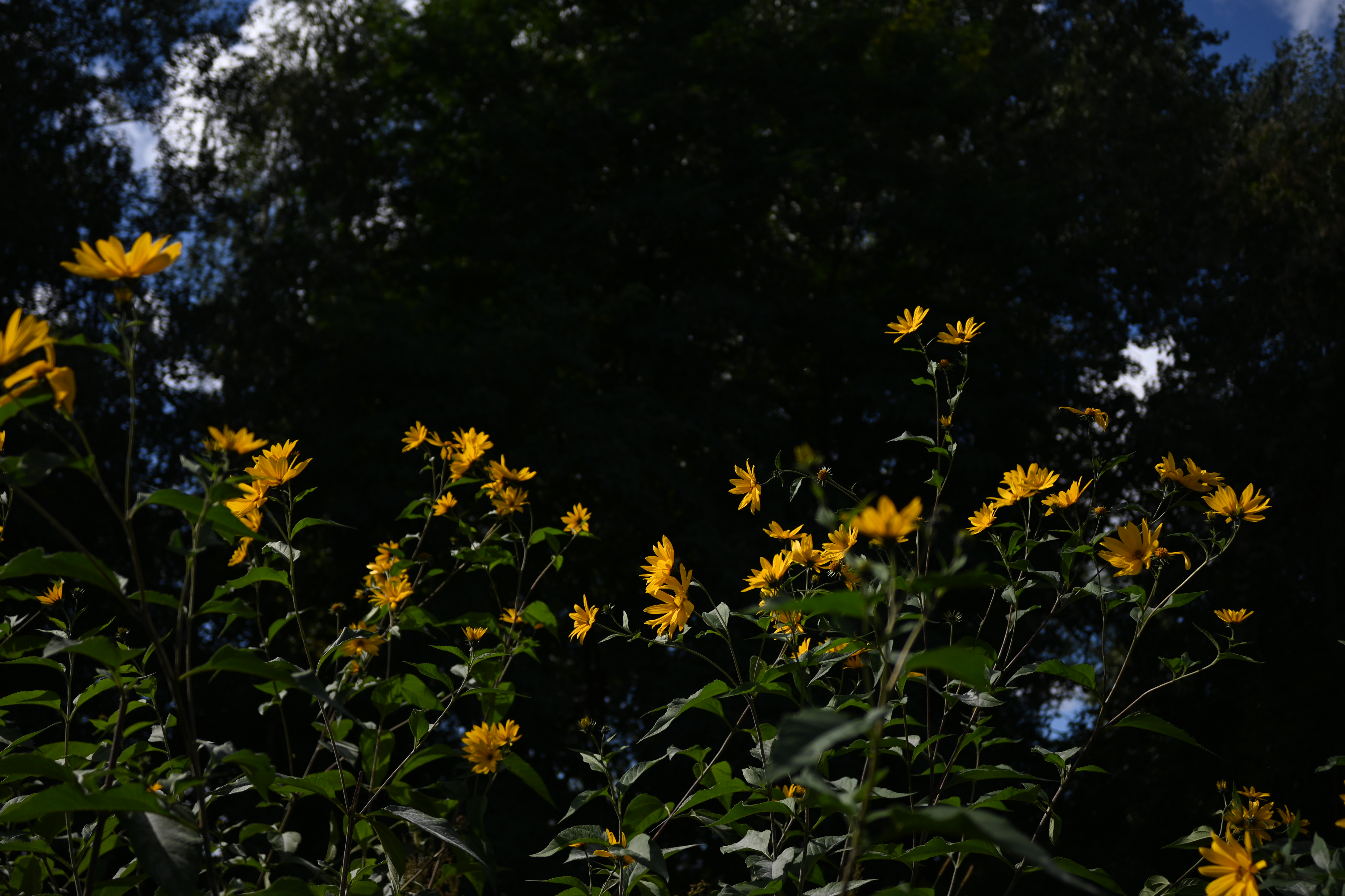 Check your knowledge